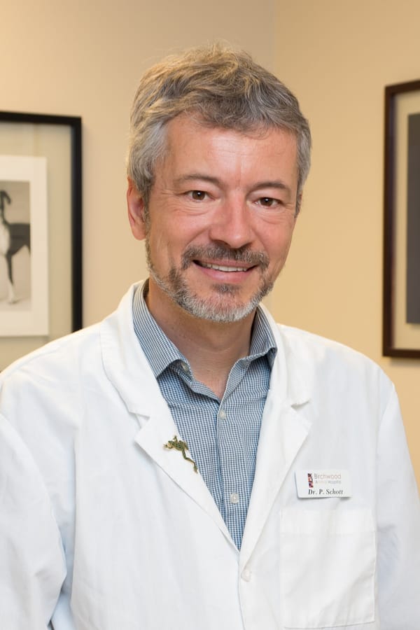 Online Author Event with Philipp Schott Now Available to Stream